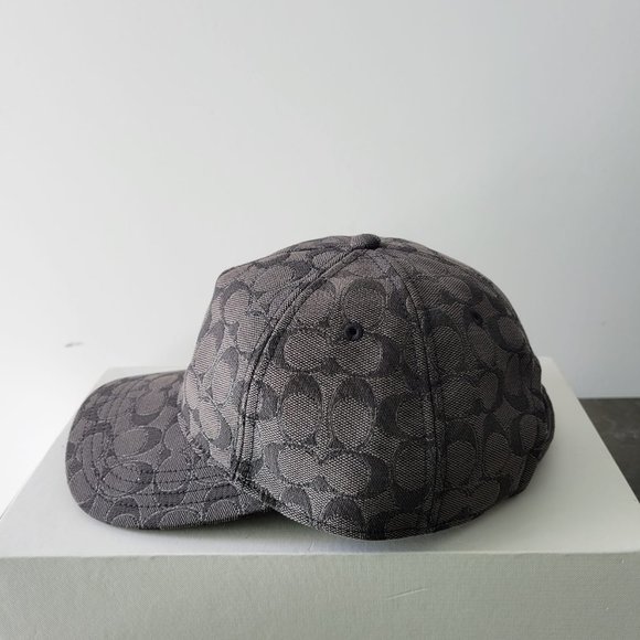 NWT $69 *NEW* COACH Baseball Hat In Metallic Signature - Picture 2 of 4